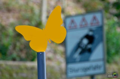 butterfly-sign
